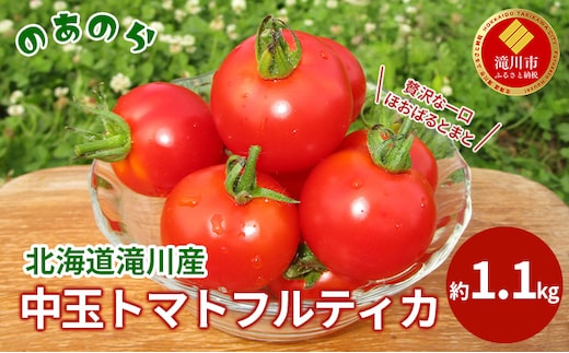 【2026年産先行受付】【栽培期間中 農薬不使用 】贅沢な一口ほおばるとまと( 北海道 滝川市産 中玉トマトフルティカ )約1.1kg （2026年7月中旬発送）トマト 野菜 やさい フルティカ 中玉トマト