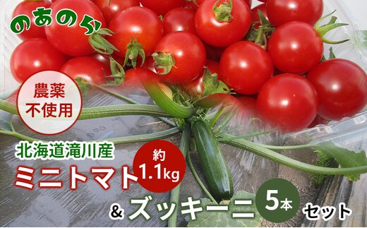 栽培期間中 農薬不使用 】 北海道 滝川市 産 ミニトマト 約1.1kg&