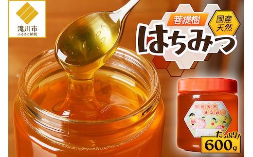 高見養蜂場 の 天然はちみつ (菩提樹、シナの木600g×1本)｜北海道 滝川市 産 はちみつ ハチミツ 天然 菩提樹 シナの木 蜂蜜 天然蜂蜜