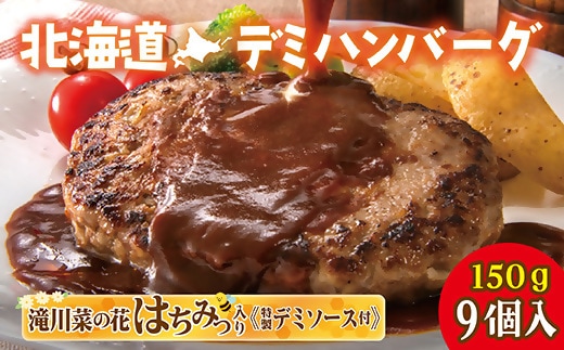 北海道デミハンバーグ1食 200g 9セット 冷凍 北海道 滝川市 牛肉 豚肉 ハンバーグステーキ 生ハンバーグ 真空パック 個包装 お弁当 バーベキュー BBQ 惣菜 簡単 焼くだけ 小分け 北海道産玉ねぎ デミグラスソース ギフト 送料無料