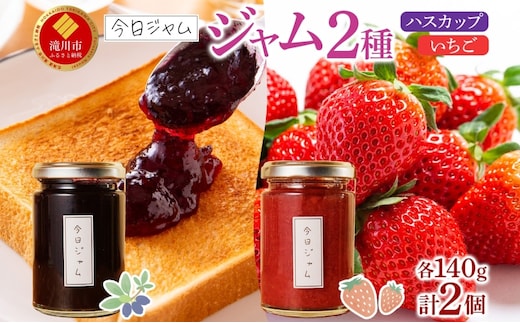 【ふるさと納税】ジャム2種セットB 各1個 ハスカップジャム いちごジャム 今日ジャム 北海道産 自家製 パン ヨーグルト 朝食 濃厚 甘い デザート スイーツ おやつ グルメ ご褒美 贅沢 ギフト 送料無料 北海道 滝川市