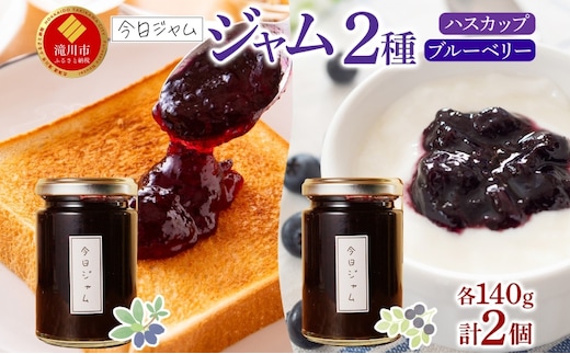 【ふるさと納税】ジャム2種セットA 各1個 ハスカップ ジャム ブルーベリージャム 今日ジャム 北海道産 自家製 パン ヨーグルト 朝食 濃厚 甘い デザート スイーツ おやつ グルメ ご褒美 贅沢 ギフト 送料無料 北海道 滝川市