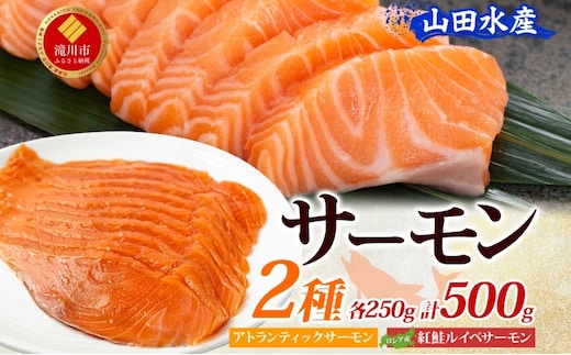 山田水産 アトランティックサーモン ロシア産 紅鮭 ルイベ サーモン 各250g 計500g 小分け 鮭 海鮮 生食用 刺身用 サケ さけ シャケ しゃけ 魚 魚介類 刺身 寿司 丼 新鮮 送料無料 山田水産 北海道 滝川市