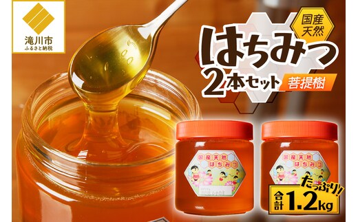 【北海道滝川産】高見養蜂場の純粋はちみつ(菩提樹、シナの木600g×2本)｜国産 日本製 天然 無添加 純粋 非加熱 生はちみつ ミツバチ ハニー 栄養 健康 美容 ビタミン ミネラル 抗生物質 プロポリス アミノ酸 濃厚 ギフト 贈答