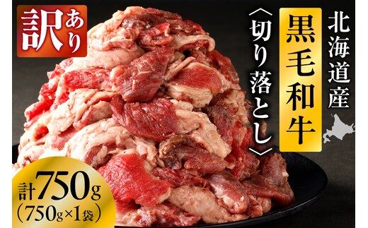 【訳あり】北海道産 黒毛和牛すじ切り落とし 750g×1袋｜北海道 国産 黒毛和牛 切り落とし 国産牛 お肉 牛肉 切落し 冷凍 小分け パック お取り寄せ 贅沢 おすすめ 送料無料 滝川市