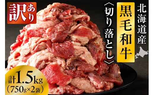 【訳あり】北海道産 黒毛和牛すじ切り落とし 750g×2袋｜北海道 国産 黒毛和牛 切り落とし 国産牛 お肉 牛肉 切落し 冷凍 小分け パック お取り寄せ 贅沢 おすすめ 送料無料 滝川市