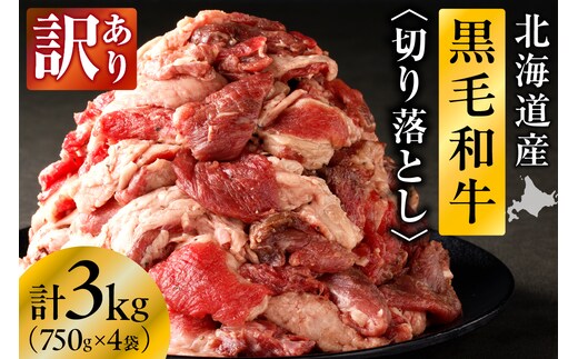 【訳あり】北海道産 黒毛和牛すじ切り落とし 750g×4袋｜北海道 国産 黒毛和牛 切り落とし 国産牛 お肉 牛肉 切落し 冷凍 小分け パック お取り寄せ 贅沢 おすすめ 送料無料 滝川市