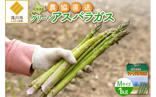 【2026年発送先行受付】北海道産グリーンアスパラ Mサイズ 1kg(500gx2袋) 産地直送 | 野菜 旬 とれたて お取り寄せ 小分け 保存 北海道 滝川市