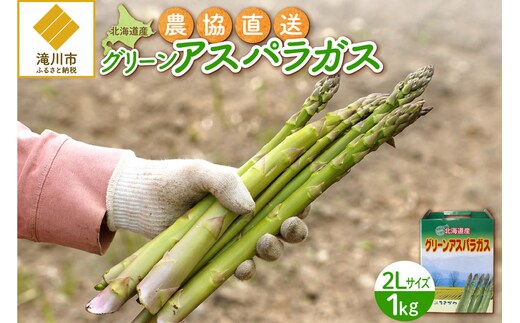 【2026年発送先行受付】北海道産グリーンアスパラ 2Lサイズ 1kg(500gx2袋) 産地直送 | 野菜 旬 とれたて お取り寄せ 小分け 保存 北海道 滝川市