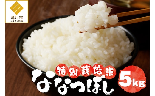 《令和7年産》特別栽培米ななつぼし 5kg | 16年連続特A ブランド米 白米 精米 米 お米 こめ 減農薬 単一原料米 ご飯 贈答 ギフト お試し 北海道米 北海道 滝川市