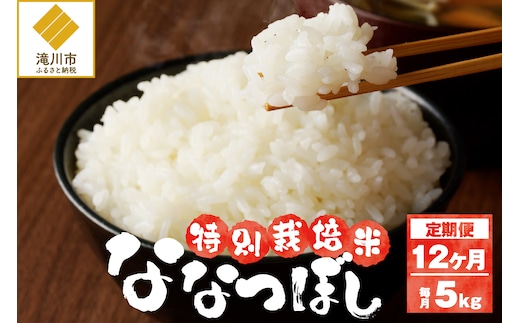 《令和7年産》特別栽培米ななつぼし 5kg×12ヵ月定期便 | 16年連続特A ブランド米 白米 精米 米 お米 こめ 減農薬 単一原料米 ご飯 北海道米 北海道 滝川市