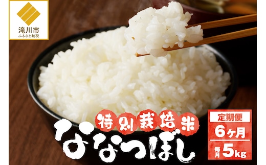 《令和7年産》特別栽培米ななつぼし 5kg×6ヵ月定期便 | 16年連続特A ブランド米 白米 精米 米 お米 こめ 減農薬 単一原料米 ご飯 北海道米 北海道 滝川市