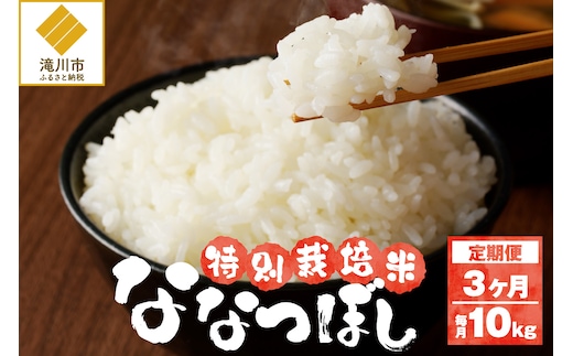 《令和7年産》特別栽培米ななつぼし 10kg×3ヵ月定期便 | 16年連続特A ブランド米 白米 精米 米 お米 こめ 減農薬 単一原料米 ご飯 北海道米 北海道 滝川市