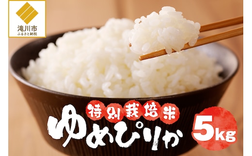 《令和7年産》特別栽培米ゆめぴりか 5kg | 16年連続特A ブランド米 白米 精米 米 お米 こめ 減農薬 単一原料米 ご飯 贈答 ギフト お試し 北海道米 北海道 滝川市
