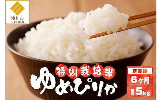《令和7年産》特別栽培米ゆめぴりか 5kg×6ヵ月定期便 | 16年連続特A ブランド米 白米 精米 米 お米 こめ 減農薬 単一原料米 ご飯 北海道米 北海道 滝川市