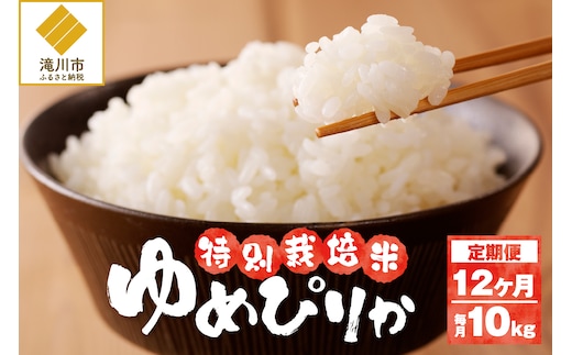 《令和7年産》特別栽培米ゆめぴりか 10kg×12ヵ月定期便 | 16年連続特A ブランド米 白米 精米 米 お米 こめ 減農薬 単一原料米 ご飯 北海道米 北海道 滝川市