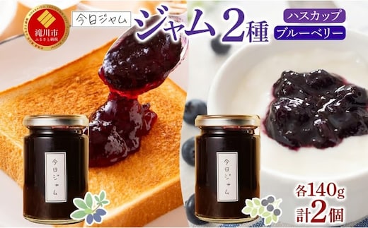 今日ジャム2種セットA 各1個 ハスカップ ブルーベリー | 無添加 北海道産 ギフト 朝食 パン トースト ヨーグルト 詰め合わせ 食べ比べ ご褒美 手作り デザート 送料無料 北海道 滝川市