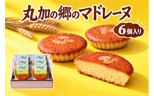 丸加の郷のマドレーヌ 6個入り 個包装｜北海道 滝川市 バター 焼き菓子 スイーツ 洋菓子 お菓子 北海道産小麦 きたほなみ おやつ ティータイム 贈り物 ギフト 手土産 お土産 プレゼント お取り寄せ