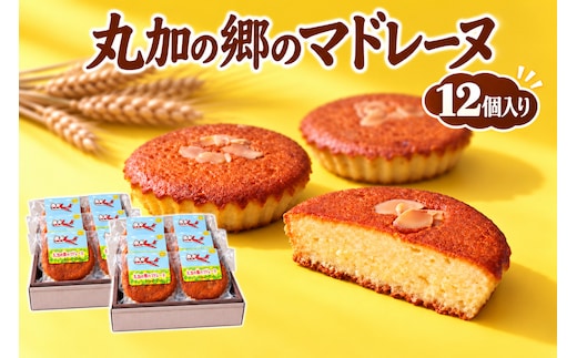 丸加の郷のマドレーヌ 12個入り 個包装｜北海道 滝川市 バター 焼き菓子 スイーツ 洋菓子 お菓子 北海道産小麦 きたほなみ おやつ ティータイム 贈り物 ギフト 手土産 お土産 プレゼント お取り寄せ