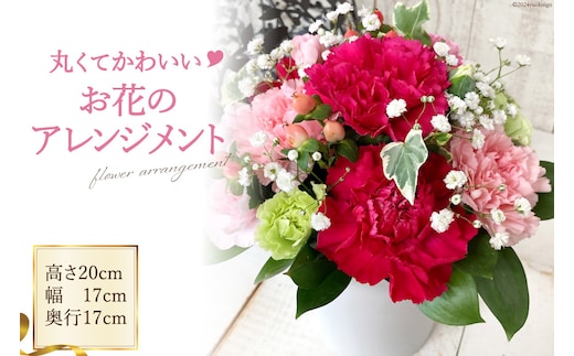 丸くてかわいいお花のアレンジメント [池川”FLOWER”生花店 北海道 砂川市 12260609] 花 花束 アレンジメント カーネーション 母の日 誕生日 プレゼント ギフト レビューキャンペーン