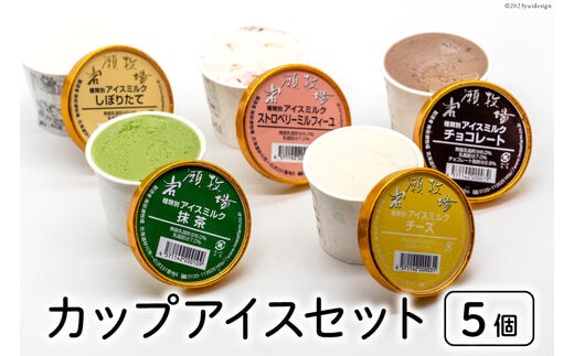 【牧場直送】 アイス 120ml ×5種 計5個 食べ比べ [岩瀬牧場 北海道 砂川市 12260519] ジェラート アイスクリーム スイーツ デザート スウィーツ おやつ