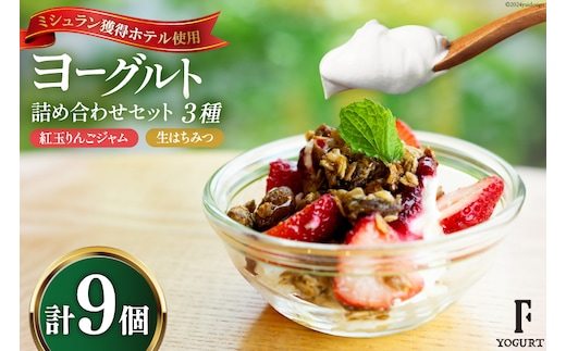 ヨーグルト 北海道 詰め合わせ ギリシャヨーグルト 紅玉りんごジャム 生はちみつ 3種 計9個 セット [ほんだ菓子司 北海道 砂川市 12260724] スイーツ 菓子 デザート ジャム ハチミツ はちみつ 蜂蜜 レビューキャンペーン