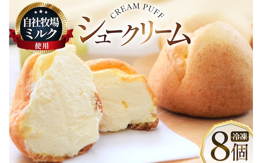 シュークリーム 冷凍 8個 [岩瀬牧場 北海道 砂川市 12260955] 冷凍配送 お菓子 おやつ お取り寄せ スイーツ しゅーくりーむ