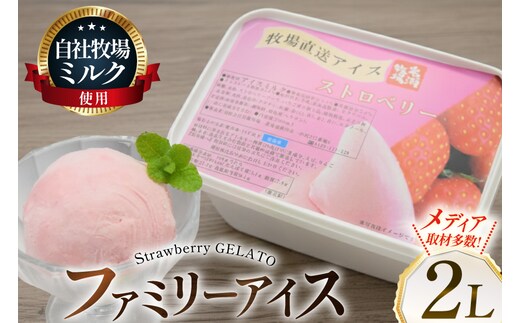 テレビで紹介！ アイス ジェラート ストロベリー 2L ファミリーサイズ ジャンボサイズ [岩瀬牧場 北海道 砂川市 12260964] 冷凍 アイスクリーム 詰め合わせ スイーツ