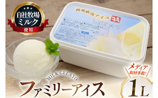 テレビで紹介！ アイス ジェラート ミルク 1L ファミリーサイズ [岩瀬牧場 北海道 砂川市 12260967] 冷凍 アイスクリーム 詰め合わせ スイーツ