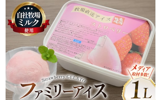テレビで紹介！ アイス ジェラート ストロベリー 1L ファミリーサイズ [岩瀬牧場 北海道 砂川市 12260968] 冷凍 アイスクリーム 詰め合わせ スイーツ