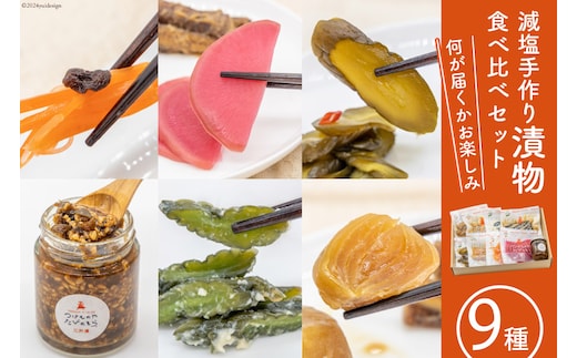 無添加 減塩 手作り 漬物 9種 食べ比べ セット [たびのそら 北海道 砂川市 12260518] 冷蔵 漬け物 つけもの 個包装 レビューキャンペーン
