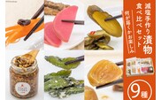 無添加 減塩 手作り 漬物 9種 食べ比べ セット [たびのそら 北海道 砂川市 12260518] 冷蔵 漬け物 つけもの 個包装 レビューキャンペーン