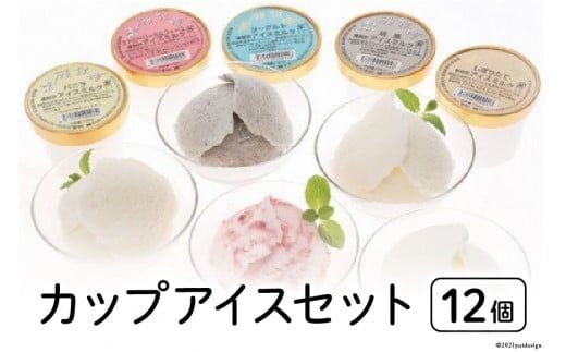 カップアイス12個セット [岩瀬牧場 北海道 砂川市 12260341] アイス イタリアン ジェラート 詰め合わせ レビューキャンペーン