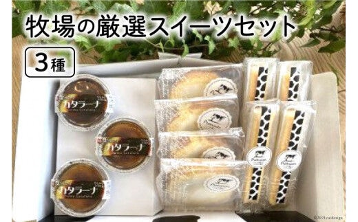 牧場の厳選スイーツセット 3種 計11個 [岩瀬牧場 北海道 砂川市 12260338] 菓子 お菓子 焼き菓子 スイーツ ロールケーキ チーズスティック カタラーナ レビューキャンペーン