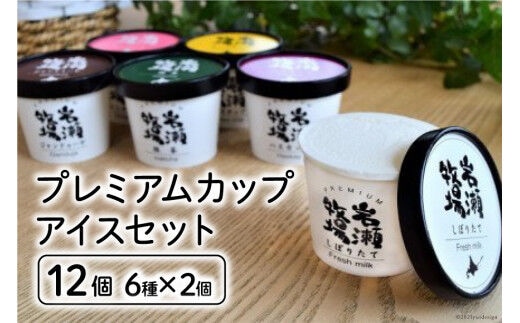 プレミアムカップアイス12個セット [岩瀬牧場 北海道 砂川市 12260340] アイス イタリアン ジェラート 詰め合わせ レビューキャンペーン