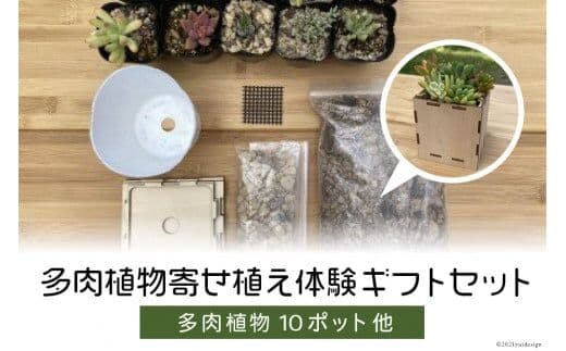 安心やすらぎ共和国 OASIS REPUBLIC -SUNAGAWA BASE- 片桐農園×空知単板工業『多肉植物寄せ植え体験ギフトセット』 [オアリパ 北海道 砂川市 12260374] レビューキャンペーン