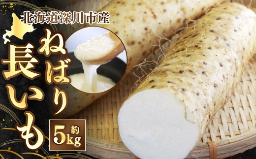 《令和8年産 先行受付》北海道深川市産 ねばり長いも 約5kg 長芋 ながいも 芋 イモ 根菜 【2026年11月上旬~11月下旬発送予定】
