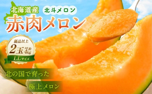 <先行受付>北海道産 北斗メロン「赤肉メロン」〈LLサイズ〉2玉(優品以上/2玉で約4kg) メロン 果物 くだもの フルーツ 【2026年6月下旬~7月下旬順次発送予定】
