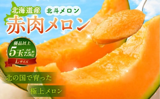 <先行予約> 北斗メロン( Lサイズ) 5玉(合計約7.5kg) フルーツ メロン 果物 【2026年6月下旬~7月下旬順次発送予定】