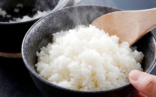 【 令和8年産 】 北海道深川市産 ゆめぴりか 5kg × 1袋 お米 白米 精米 白飯 ご飯 おにぎり 和食 ブランド米 国産