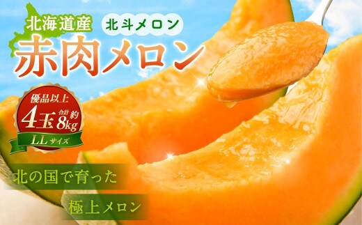 <先行予約>北斗メロン(LLサイズ)4玉(合計約8kg) メロン 果物 くだもの フルーツ 【2026年6月下旬~7月下旬順次発送予定】