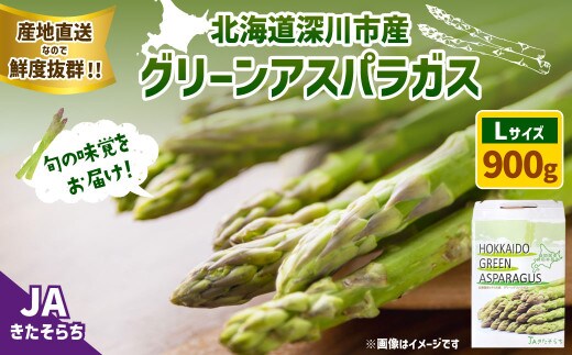 グリーンアスパラガス (Lサイズ) 900g 〈令和8年産〉 【2026年度 先行予約】 グリーンアスパラ アスパラガス アスパラ 緑アスパラ 野菜 【2026年5月上旬~6月下旬発送予定】