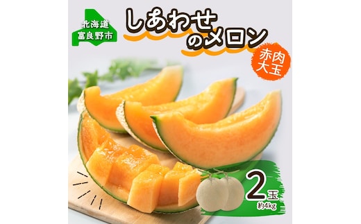 ＜2026年発送＞ふらの産 しあわせのメロン 赤肉 大玉 2玉 計4kg メロン 富良野メロン
