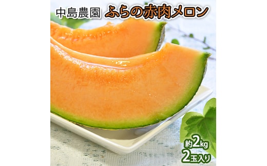 【2026年7月～発送】北海道 富良野市 ふらの赤肉 メロン 2玉 計 約4kg (中島農園) メロン フルーツ 果物 新鮮 甘い 贈り物 ギフト 道産 ジューシー おやつ ふらの ブランド 夏