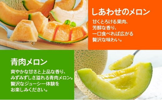 2027年発送＞ふらの産 しあわせのメロン 赤肉 青肉 メロン 2玉 セット