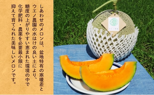 2027年発送＞ふらの産 しあわせのメロン 赤肉 青肉 メロン 2玉 セット