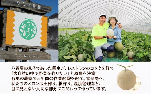 2027年発送＞ふらの産 しあわせのメロン 赤肉 青肉 メロン 2玉 セット