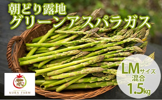 【2027年5月より発送】北海道 富良野市産 アスパラ 緑 (サイズ混合) 約1.5kg (60～88本前後) 朝どり 露地 グリーン アスパラガス 詰め合わせ 野菜 新鮮 数量限定 先着順【藏ファーム】