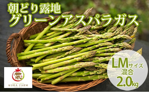 【2027年5月より発送】北海道 富良野市産 アスパラ 緑 (サイズ混合) 約2kg (80～118本前後) 朝どり 露地 グリーン アスパラガス 詰め合わせ 野菜 新鮮 数量限定 先着順【藏ファーム】