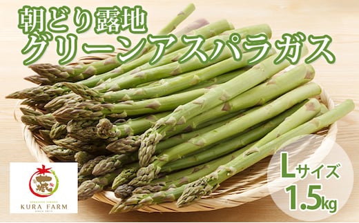 【2027年5月より発送】北海道 富良野市産 アスパラ 緑 (Lサイズ) 約1.5kg (45～70本前後) 朝どり 露地 グリーン アスパラガス 詰め合わせ 野菜 新鮮 数量限定 先着順【藏ファーム】